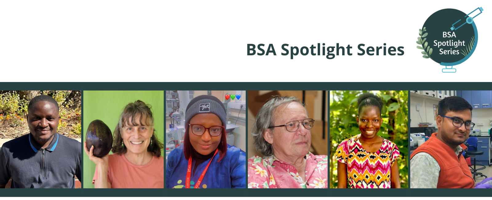 BSA Spotlight Series