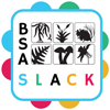 BSA Slack